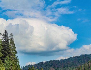 Bulutları ve ağaçları olan güzel bir manzara.