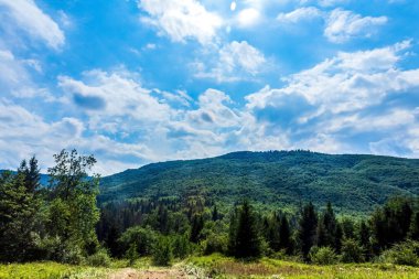 Karpat dağlarında dağ yolu