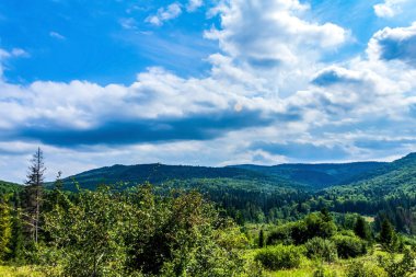 Yazın dağ manzarası