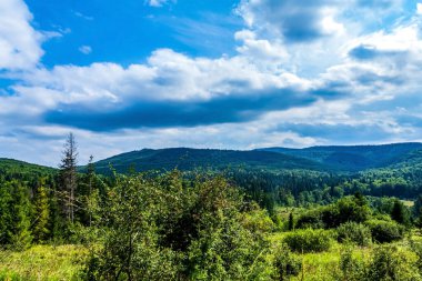 Dağlardaki yeşil orman