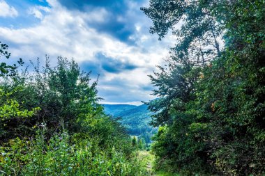 mountain landscape with a green forest and the blue sky