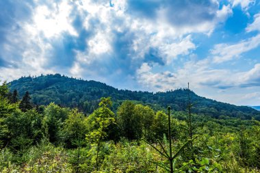 Karpat dağlarında yaz manzarası