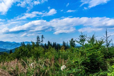 Dağların güzel manzarası