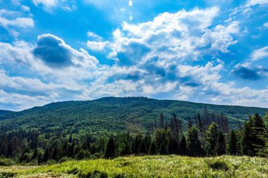 mountain landscape in the ukrainian carpathians. the mountains of the carpathians. the summer season of the carpathians.