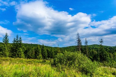 Nehir ve mavi gökyüzü olan güzel bir manzara.