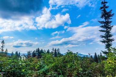 Karpatlar 'daki dağların güzel manzarası