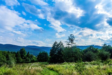 Arkasında bir dağ olan güzel bir manzara.