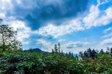 Yeşil çimenli ve mavi gökyüzü olan dağ manzarası