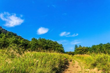 Arkasında bir dağ olan güzel bir manzara.