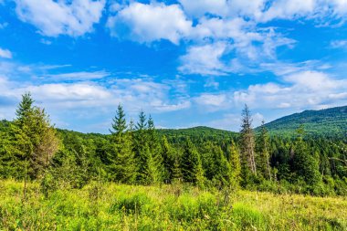 Dağların güzel manzarası