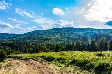 Karpat dağlarında dağ yolu