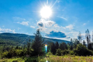 arka planda dağlar ile yeşil çayır