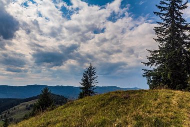 summer landscape on the hill
