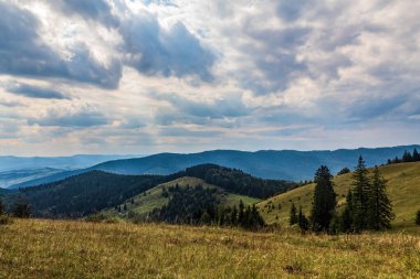 Güzel dağ manzarası. Karpatlar, Ukrayna.