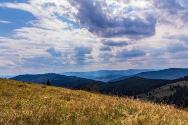 summer landscape with the mountains in the carpathians