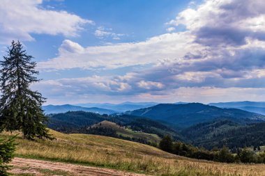 Karpatlarda Yaz manzarası