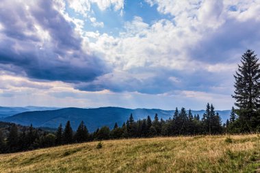 carpathians, mountains and forests. summer time in the mountains