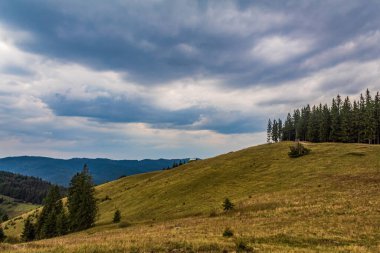 Dağları ve yeşil otları olan güzel bir manzara.