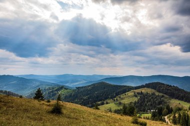 beautiful summer landscape in the polish mountains
