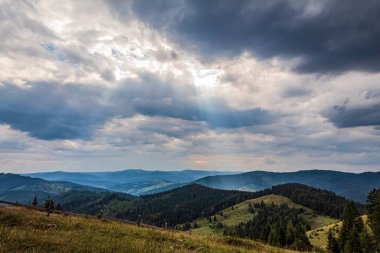 Karpatların yaz manzarası