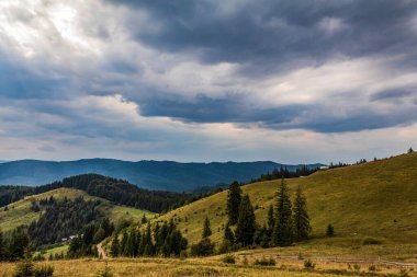 carpathian summer landscape with green hills and cloudy sky