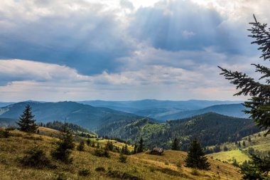 Dağların ve ormanın güzel manzarası