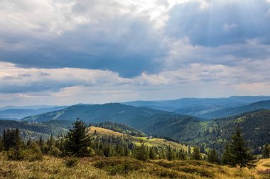 beautiful mountain landscape with a lot of trees and a cloudy sky