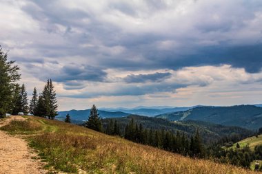 mountain trail in the carpathians in the summer day in the mountains