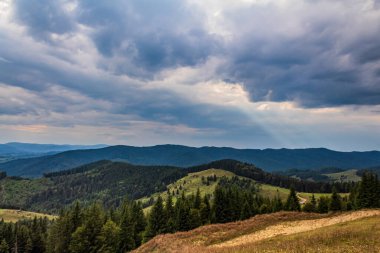 Yazın Karpat Dağları.