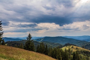 the beautiful mountains in ukrainian carpathians in a summer day. wonderful weather