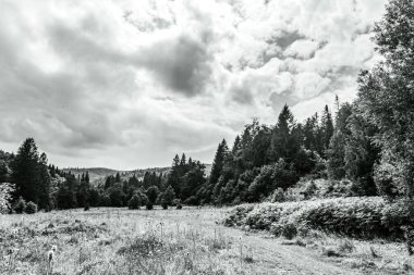 black and white clouds over a mountain range