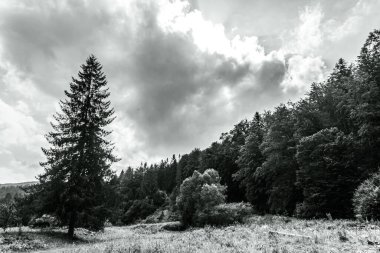 Dağların güzel manzarası