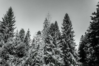 İtalyan Alplerinde kış manzarası