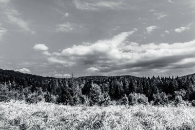 black and white landscape of the carpathian mountains. summer landscape