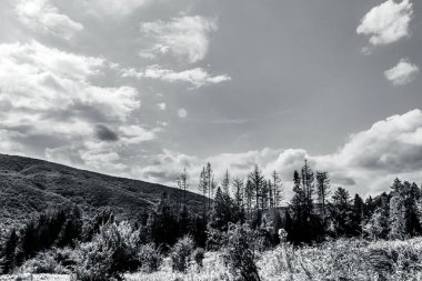 Dağları olan güzel bir manzara. Doğa, seyahat