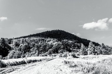 Dağlardaki siyah ve beyaz manzaralar