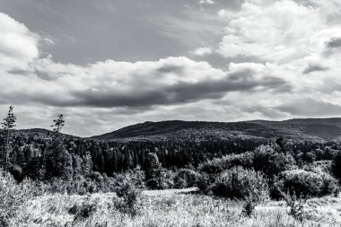 beautiful summer landscape with mountains, forest and clouds