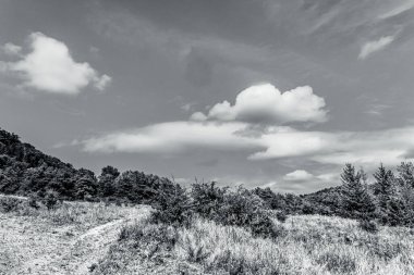 Dağlardaki siyah ve beyaz manzaralar