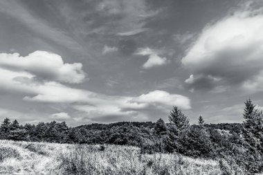 Güzel bir manzaranın siyah beyaz fotoğrafı