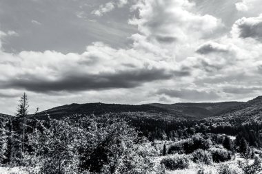black and white landscape of the mountains in the carpathians, the black mountains in the distance, in the summer.