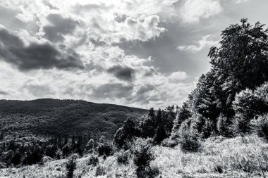 Dağlarda dağları olan güzel bir manzara.