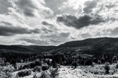 Dağlarda bir ağacı olan güzel bir manzara.
