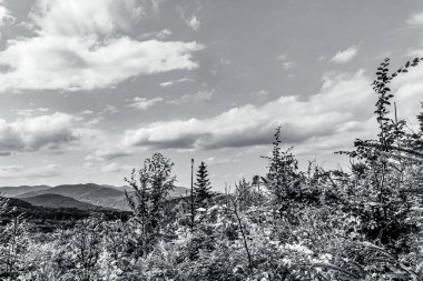 black and white mountain in the summer time