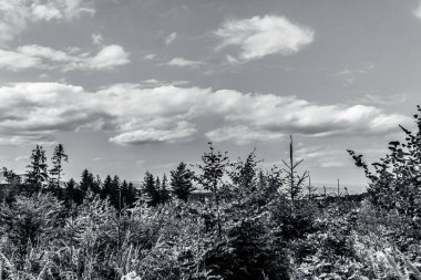 beautiful summer landscape of the russian village, black and white photo