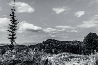 İsrail eyaletinin kuzeyindeki dağların manzarası.