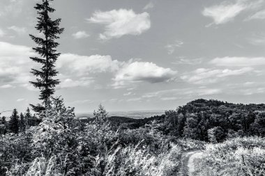 Güzel manzara. doğa arkaplanı