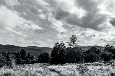 Bulutlu güzel dağ manzarası