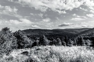black and white photo of mountain landscape with trees and mountains