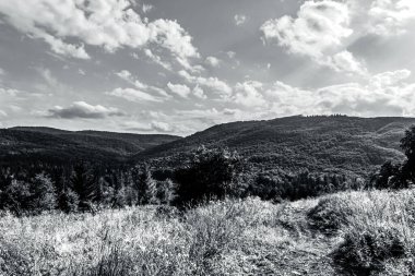 Arkasında bir dağ olan güzel bir manzara.