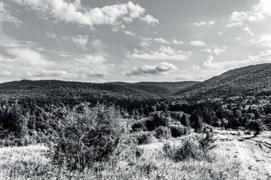Dağları ve ormanı olan güzel bir manzara.